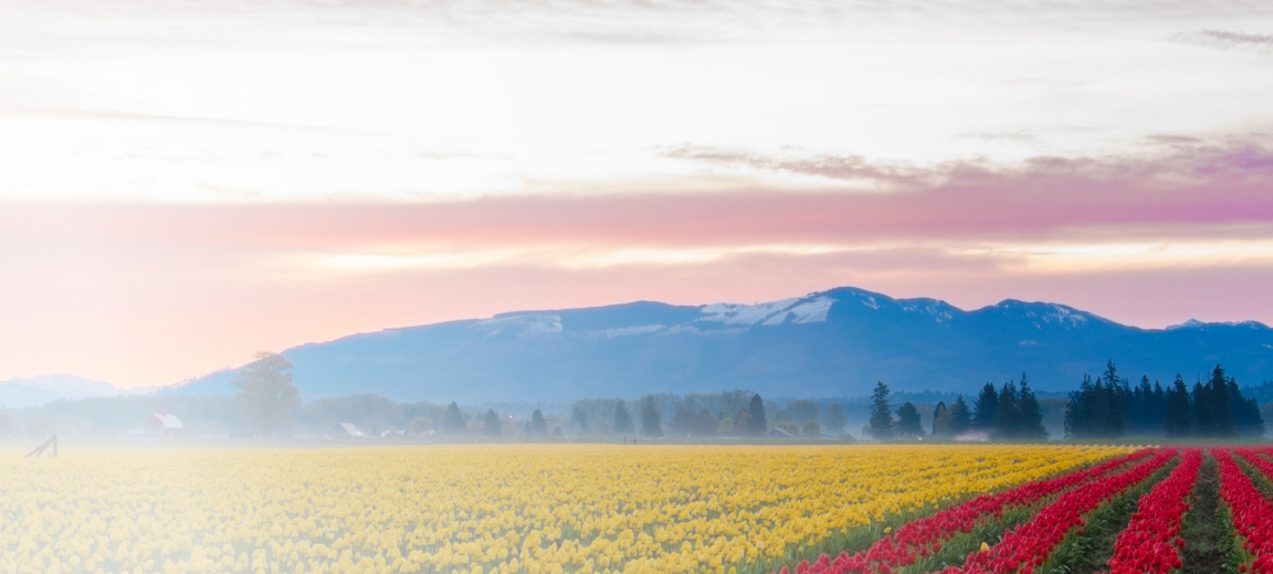 Washington landscape